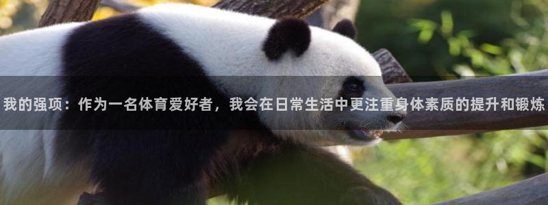球速体育运行几年了