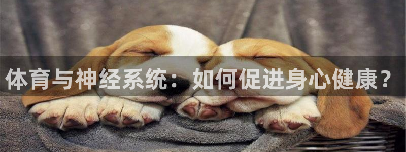 球速体育app(填写)a955 org：体育与神经系统：如何促进身心健康？