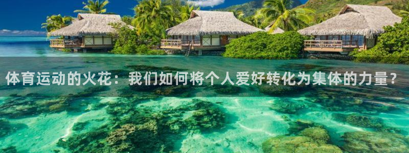 球速体育是正规平台吗：体育运动的火花：我们如何将个人爱好转化为集体的力量？