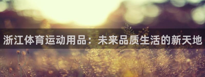 球速体育吧