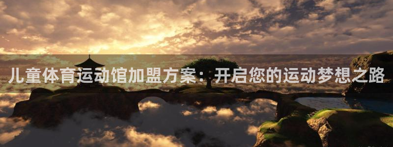 球速体育输入x655 in