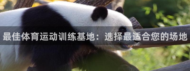 球速体育黑钱